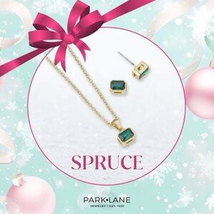 Park Lane “Spruce” Ensemble! BNIB!!